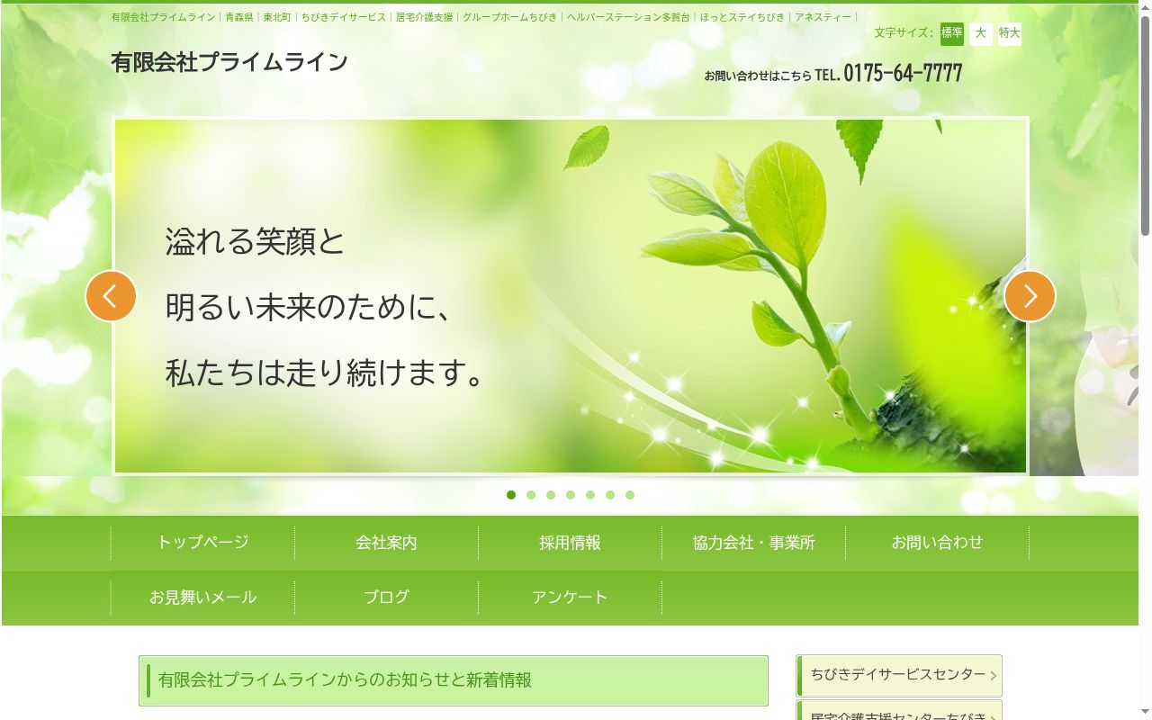 ヘルパーステーションアネスティーの公式サイトのスクリーンショット