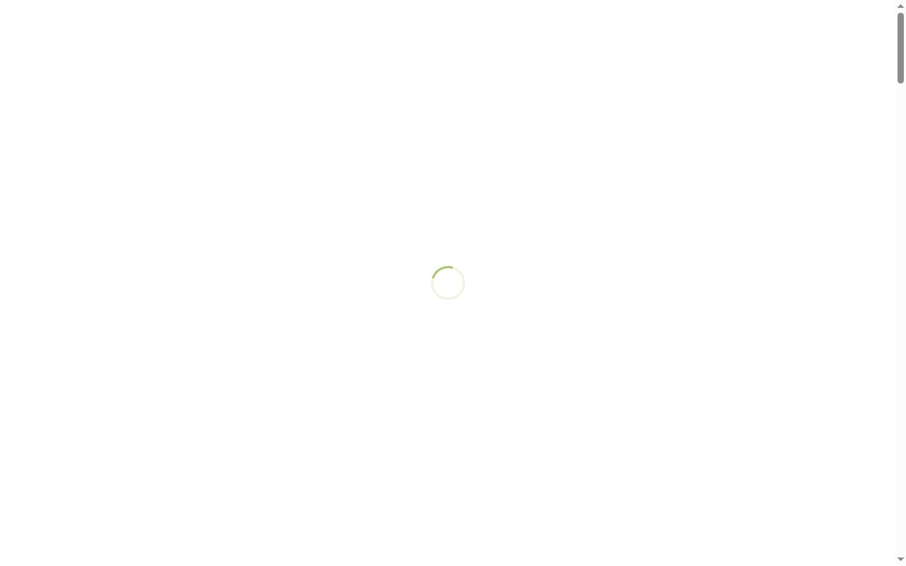 西出福祉サービス千歳の公式サイトのスクリーンショット